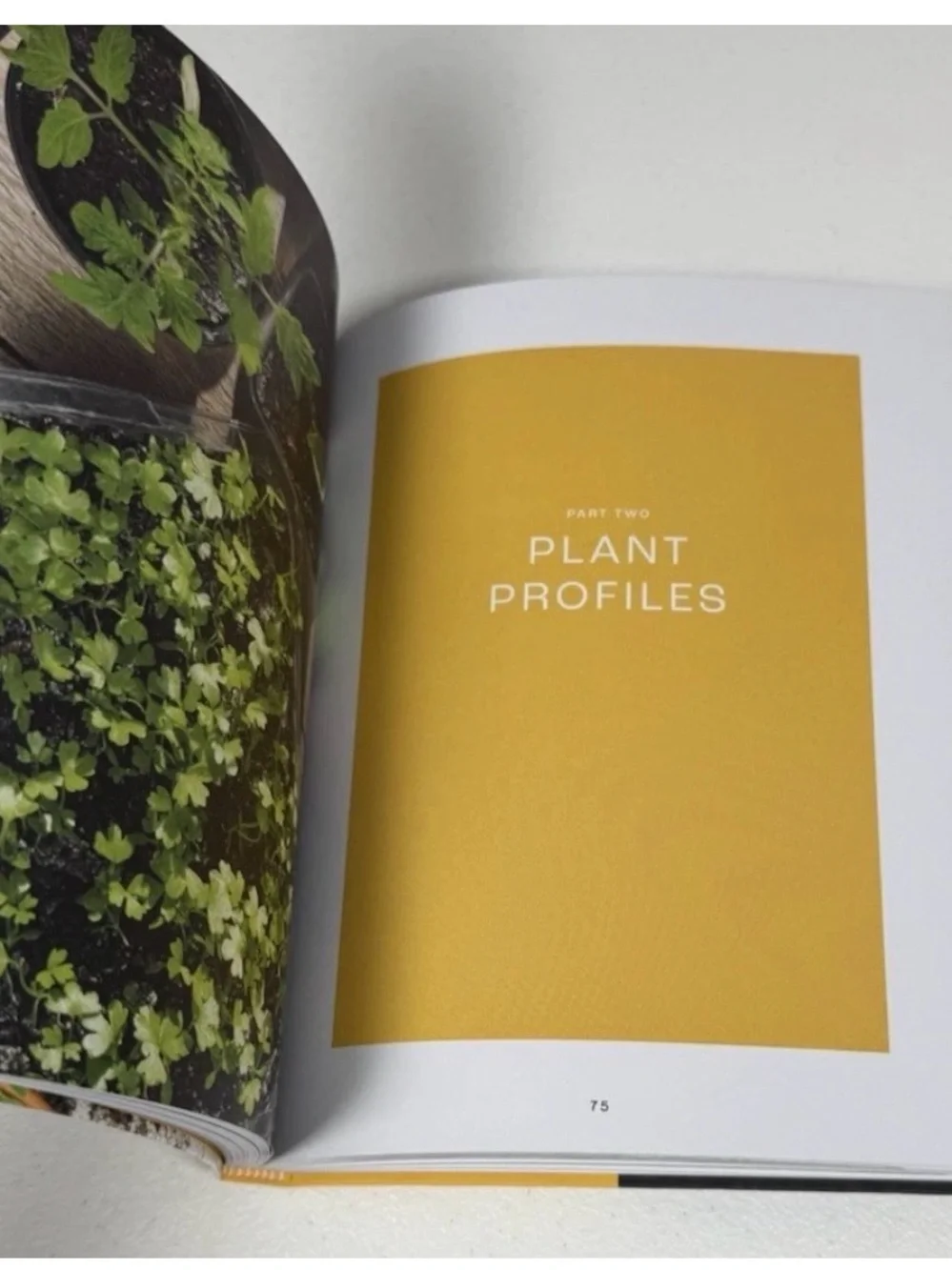 Veg Out; A Stress-Free Guide to Creating Your First Vegetable Garden